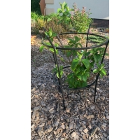 Metalowe podpory do kwiatów